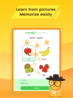 LingoDeer - Learn Languages MOD APK
