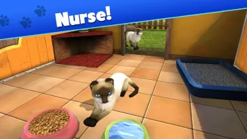 Pet World: My Animal Shelter MOD APK