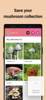 Picture Mushroom - Mushroom ID MOD APK