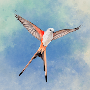 Wingspan: The Board Game MOD APK