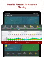 Windy.com - Weather Forecast MOD APK