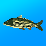 True Fishing. Simulator MOD APK