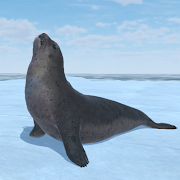 Seal Island MOD APK