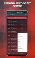 Pi Music Player: Offline Music MOD APK
