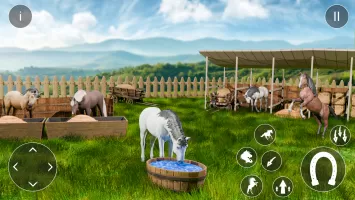 Wild Horse Riding Sim: Racing MOD APK