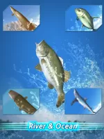 Fishing Season :River To Ocean MOD APK