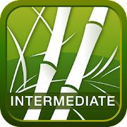 Human Japanese Intermediate MOD APK