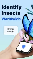 Picture Insect: Bug Identifier MOD APK