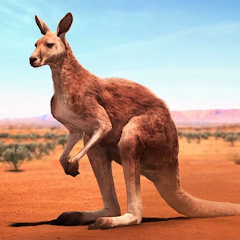 The Kangaroo MOD APK