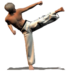 Taekwondo Forms MOD APK