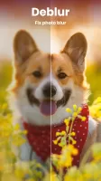Enhance it - AI Photo Editor MOD APK