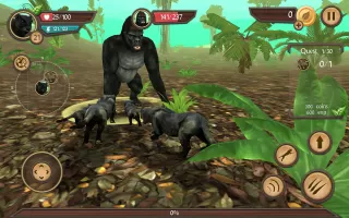 Wild Panther Sim 3D MOD APK