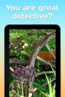 Find a cat 2 MOD APK