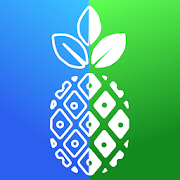 Diff before after video photo MOD APK