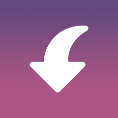 Insget - Video & Story Saver MOD APK