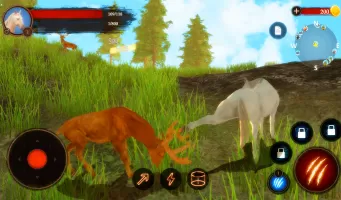 The Horse MOD APK