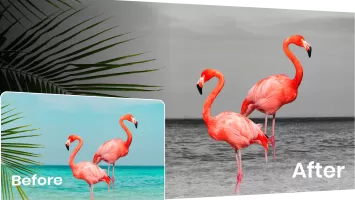 Color Pop Effects Photo Editor MOD APK