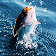 Real Fishing Pro 3D MOD APK