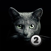 Find a cat 2 MOD APK