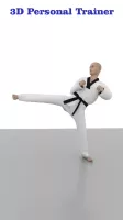 Taekwondo Workout At Home MOD APK