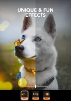 Motionleap by Lightricks MOD APK