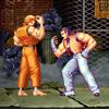 Art of Fighting MOD APK