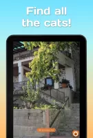 Find a cat 2 MOD APK