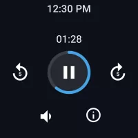 Easy Voice Recorder MOD APK