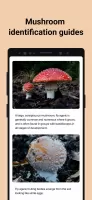 Picture Mushroom - Mushroom ID MOD APK