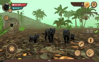 Wild Panther Sim 3D MOD APK