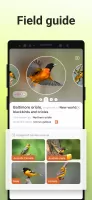 Picture Bird - Bird Identifier MOD APK