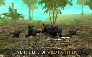 Wild Panther Sim 3D MOD APK