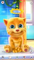 Talking Ginger MOD APK