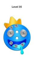Screw Puzzle: Nuts and Bolts MOD APK