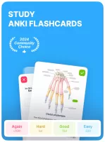 Anki Pro: Flashcards Learning MOD APK