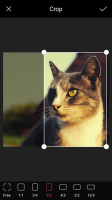 Pomelo Camera – Photo editor & MOD APK