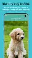 Dog Scanner: Breed Recognition MOD APK
