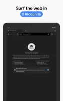 Google Chrome MOD APK